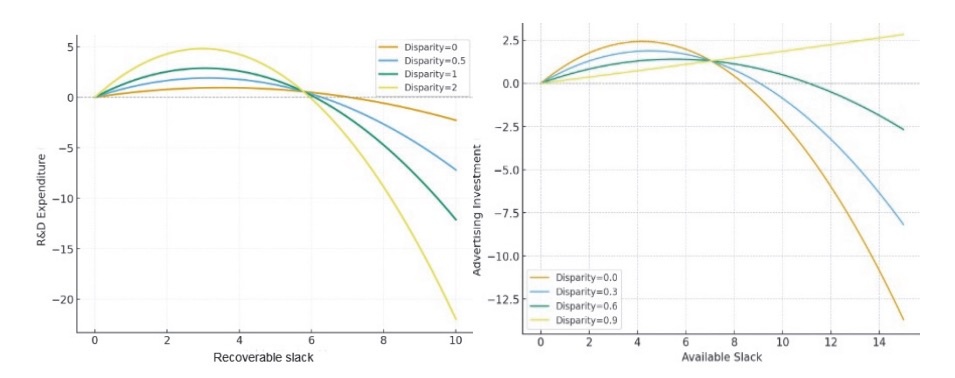 The Relationship Between Slack Resources and Innovation Investment Across Varying Levels of Control–Ownership Disparity