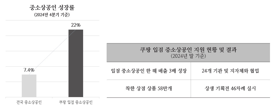 Growth Rates of SMEs and Structural Support in Coupang